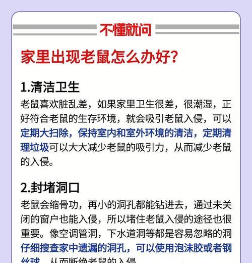 老鼠为何会进入洗衣机？如何预防这种情况？