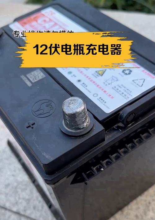 索耳电瓶充电器使用方法是什么？