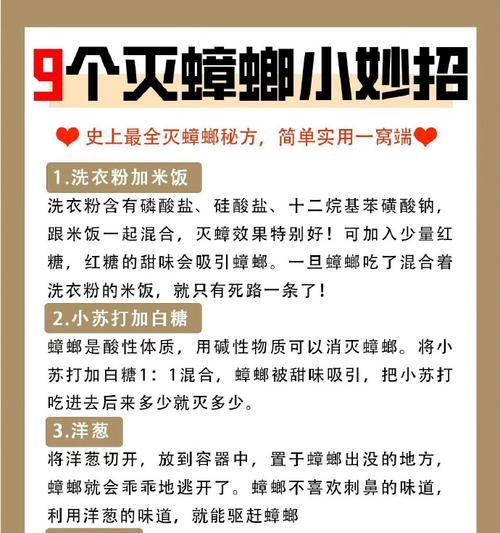 小强钻洗衣机的原因是什么？如何防止这种情况？