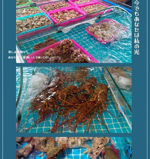 西岛电瓶车操作指南？