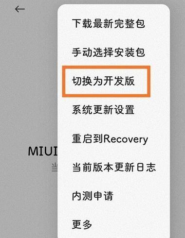 小米开发者模式更新系统复杂吗？步骤是什么？