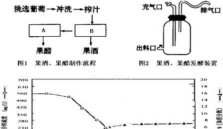 鱼缸散热器制作教程在哪里找？制作过程中需要注意什么？