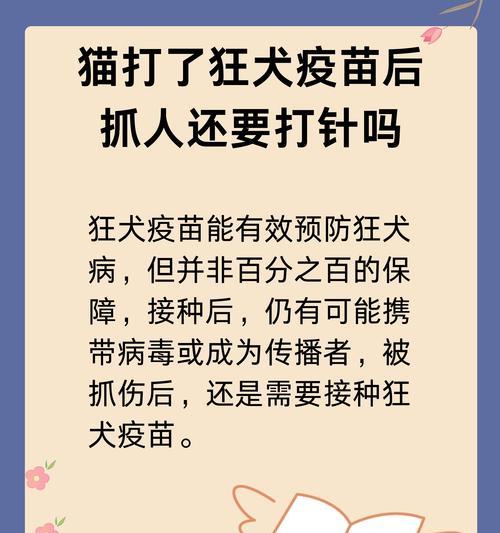 安卓手机抓人操作步骤是什么？需要注意什么？