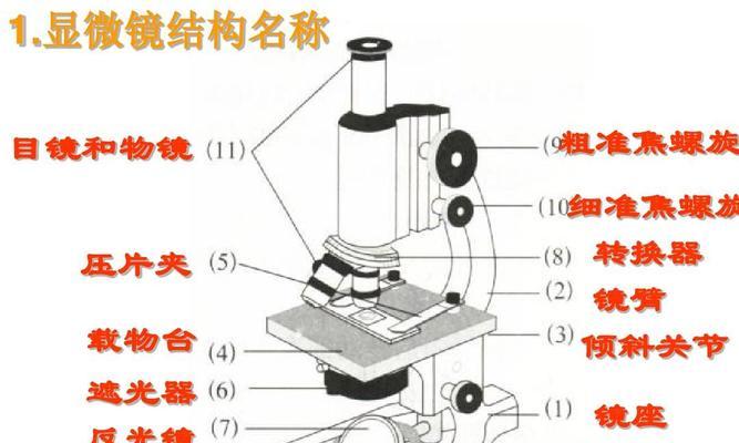 转换器显微镜调整方法有哪些？