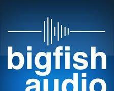 电脑下载fishaudio的方法是什么？步骤有哪些？