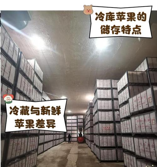 在冰库中如何保护手机电池？