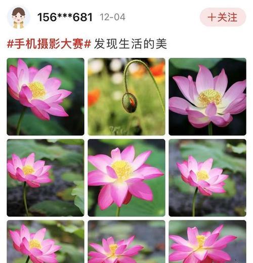 摄影大赛投稿流程是怎样的？手机软件如何使用？