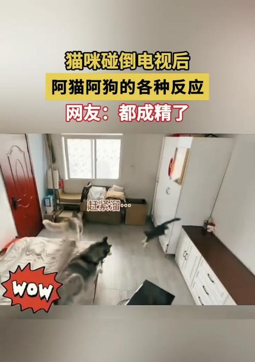 电视机倒转拼接调整方法？调整后效果如何？