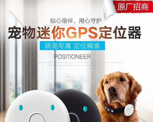 单狗wifi充值流程简单吗？充值后如何确认到账？