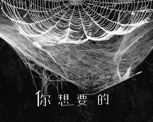 酷狗歌词全屏显示方法是什么？