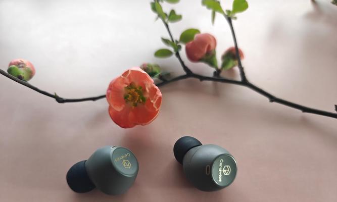 弱水时砂蓝牙耳机的选择标准是什么？如何挑选适合自己的型号？