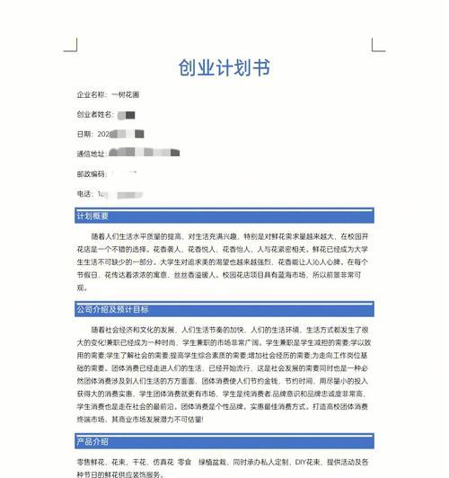 低音炮整治计划范文怎么写？计划书应包含哪些要点？