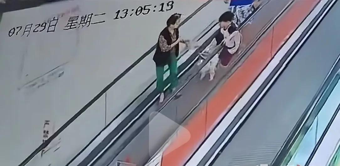 男孩商场扶梯上被狗咬伤，狗主人安慰几句后竟直接离开！警方介入