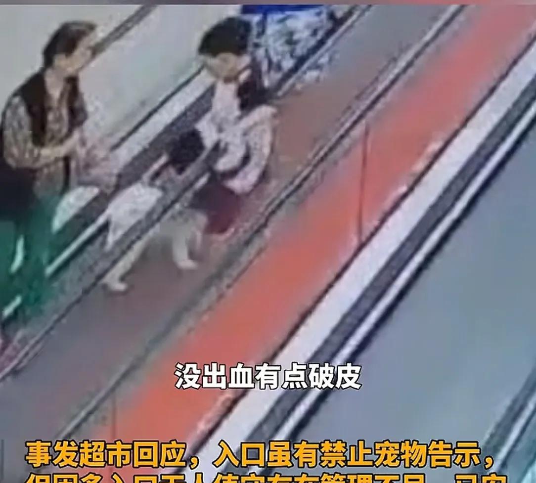 男孩商场扶梯上被狗咬伤，狗主人安慰几句后竟直接离开！警方介入
