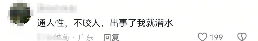 男孩商场扶梯上被狗咬伤，狗主人安慰几句后竟直接离开！警方介入