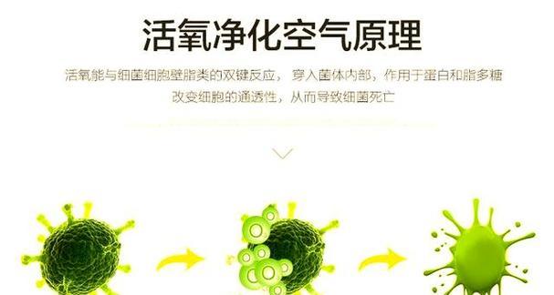 拥抱清新呼吸环境，空气净化器为你带来的好处（呼吸新鲜空气，增强健康免疫力）