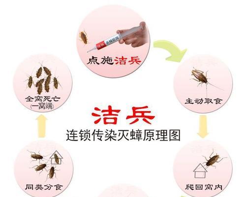 洗衣机遭遇蟑螂困扰，如何有效解决？（蟑螂滋生洗衣机，防治方法大揭秘！）