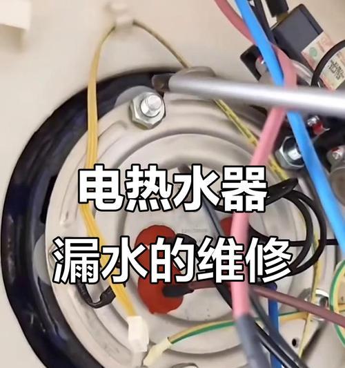 电热水器漏水的维修方法（解决家庭电热水器漏水问题的有效措施）