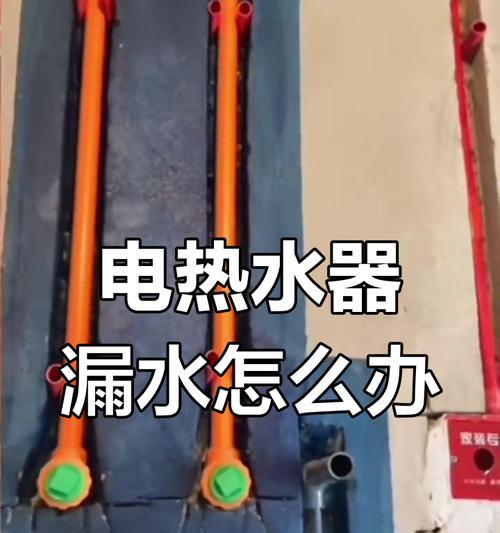 电热水器漏水的维修方法（解决家庭电热水器漏水问题的有效措施）