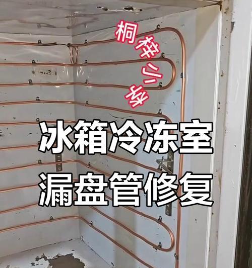 冰箱为什么会内漏？（探究冰箱内漏的原因和解决方法）