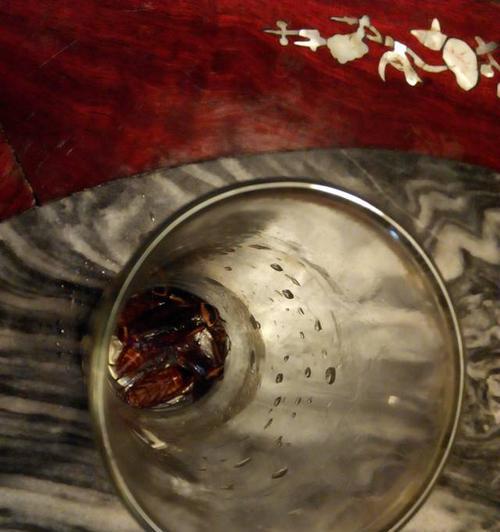 咖啡机水箱蟑螂怎么处理？（有效清除咖啡机水箱内的蟑螂）