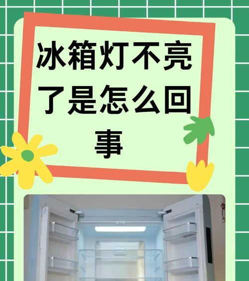 灯不亮的原因及修复方法（如何正确操作解决灯不亮的问题）