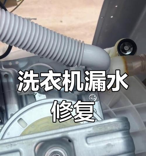 海尔洗衣机单脱水为什么要进水？（深入探究海尔洗衣机单脱水的原因和作用）