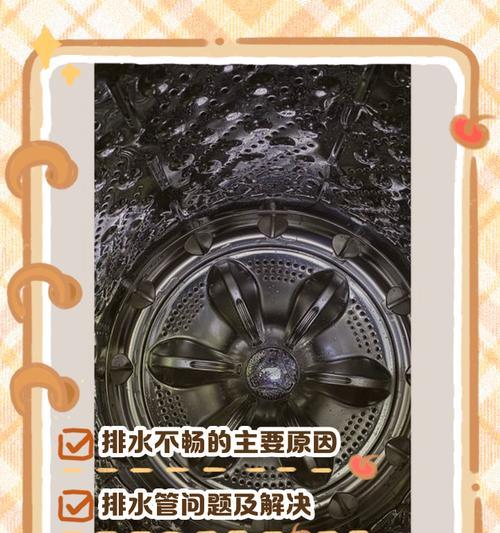 桶式洗衣机不脱水的原因及解决方法（保护衣物，细心选择洗衣机）