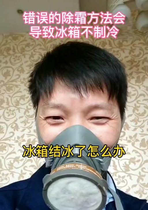 如何修复容声双门冰箱化霜失灵故障（排查解决容声双门冰箱化霜失灵故障的有效方法）