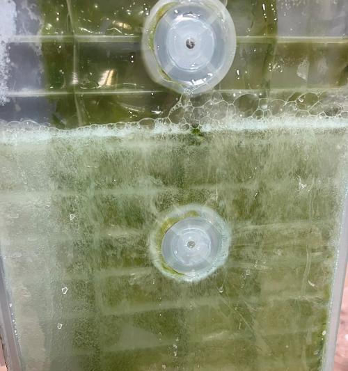 洗碗机水箱故障解决方法大揭秘（如何应对洗碗机水箱故障，轻松解决烦恼）