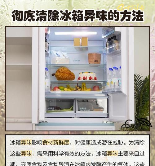 冰箱异味预防与处理的有效方法（清新空气从冰箱开始）