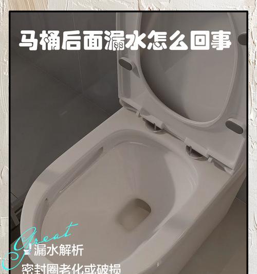 马桶边缘渗水维修价格一览（了解马桶渗水维修所需费用及关键信息）