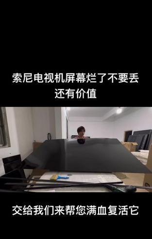 索尼液晶电视维修方法大揭秘（全面解析索尼液晶电视常见问题的维修技巧）