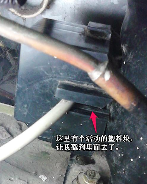 海尔冰箱清洗拆除方法（轻松解决海尔冰箱清洗和维护问题）