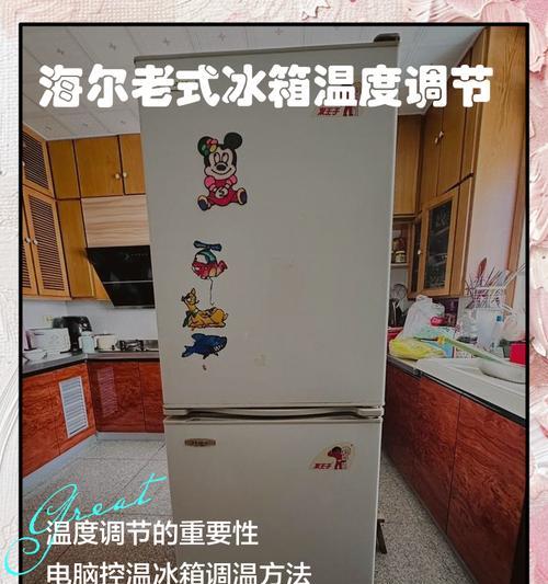 如何修理海尔冰箱显示坏了的问题（海尔冰箱显示故障修理指南，解决您的烦恼）