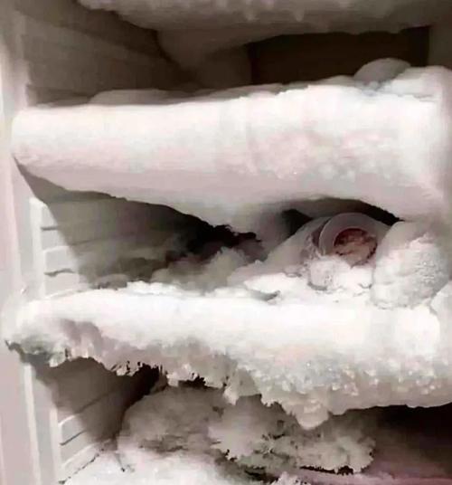 冰箱不制冷除霜后又制冷的原因和解决方法（冰箱除霜后如何重新制冷，避免食物变质）