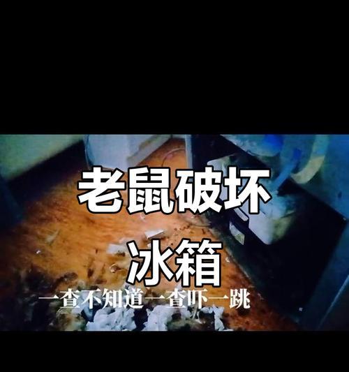 冰箱启动不起来的原因分析（探究冰箱无法正常运行的可能因素）