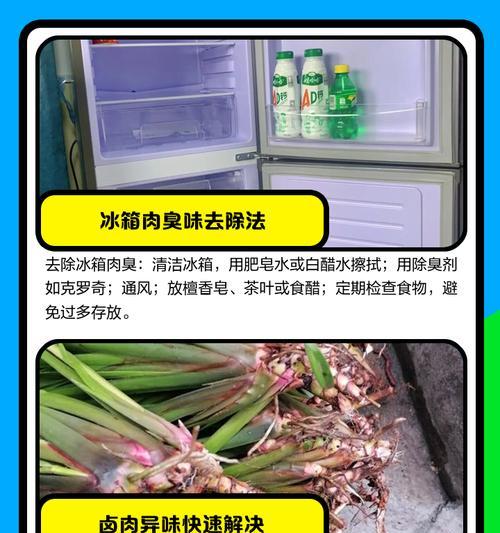 冰柜发臭的解决方法（有效清除冰柜异味，让食品始终新鲜）
