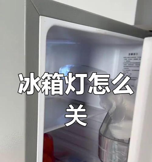 冰箱灯泡为何不亮了？（探究冰箱灯泡失灵的原因及解决方法）