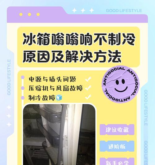 冰箱不制冷的原因及解决办法（了解冰箱制冷原理，快速解决故障）