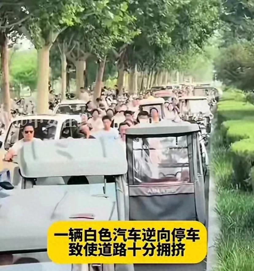 逆停致堵车女司机发长文:一切都不是我有意为之，曾直播解释被封