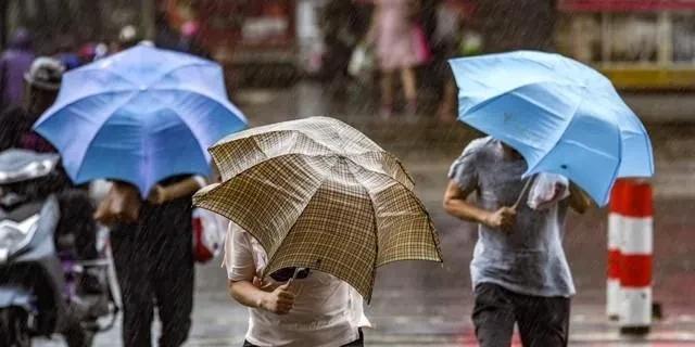 台风“杨柳”今晚到明晨在粤闽交界登陆,广东多地暴雨大暴雨来袭