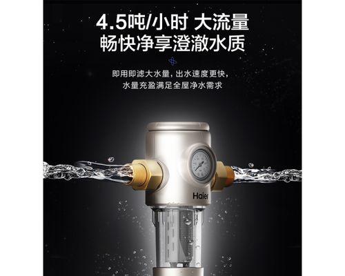 海园净水器故障解决指南（解决海园净水器故障的方法与技巧）