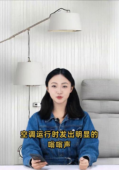 空调柜机嗡嗡响的原因及解决方法（详细排查空调柜机嗡嗡声的可能原因）
