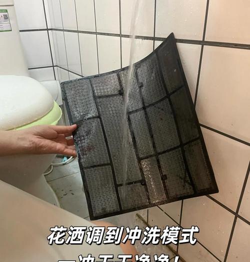 挂式空调过滤网清理指南（教你几招实用的清理技巧）