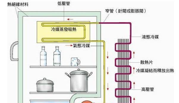 康师傅冰箱制冷调节方法（掌握冰箱制冷技巧）
