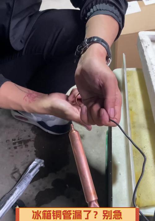 冰箱漏水的常见原因及解决方法（深入探究冰箱漏水的部位与原因）