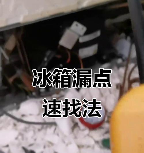 冰箱漏水的常见原因及解决方法（深入探究冰箱漏水的部位与原因）