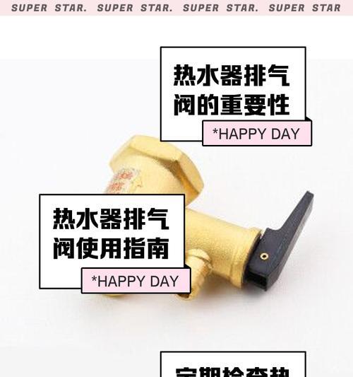 热水器排气管漏水处理方法（解决热水器排气管漏水问题的实用指南）