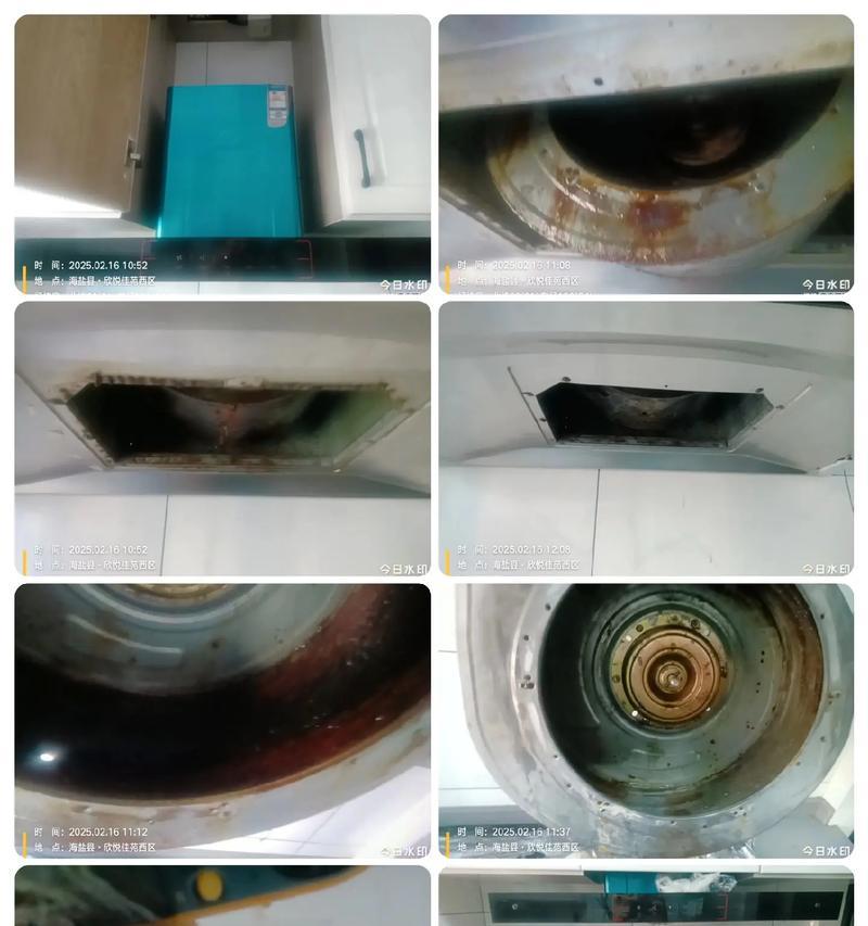 如何正确清洗新飞油烟机（掌握正确的清洗方法）